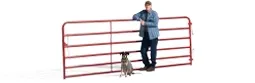 Profile of a man leaning against a red fence 与 his dog sitting next to him.